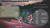 **Voyage danser, être dansé – L’appel de la forêt** Mercredi 9 Juillet à Luc-sur-Aude