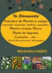 Pépinière de plantes