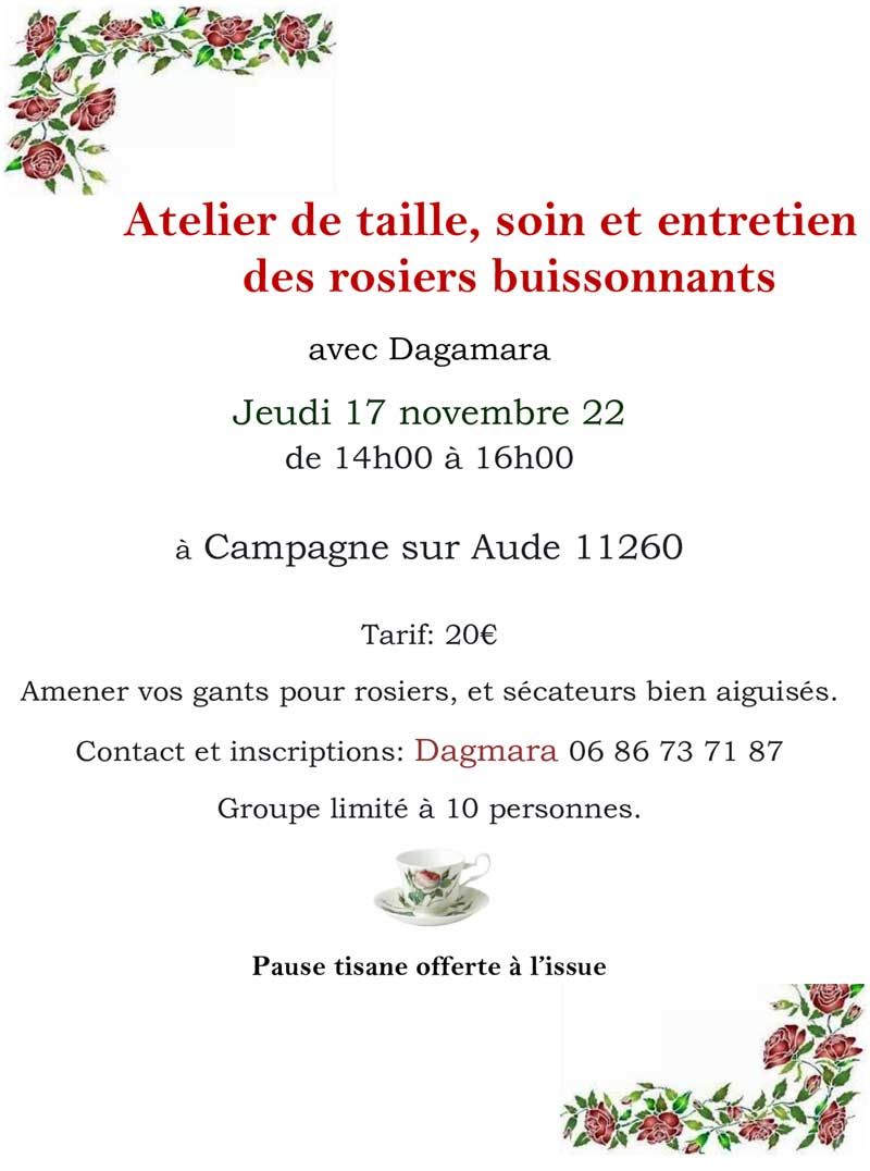 Image en            ligne