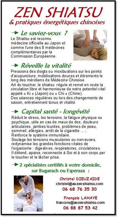 flyer zen shiatsu                            2022 bug esperaza .jpg