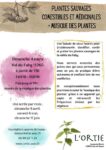Plantes sauvages comestibles + écoute de la musique des plantes