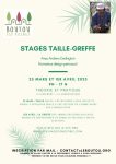 Stages de taille – greffe