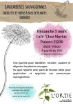« Les savoureuses sauvageonnes » : Journée d&rsquo;identification, cueillette et cuisine des plantes sauvages