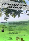 Promenade sous les cimes – Dimanche 18 juin