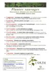 Programme d&rsquo;automne de L&rsquo;Ortie