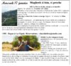 Cineclub « Maghreb si loin, si proche » – mercredi 17/01 à 18h – Quillan
