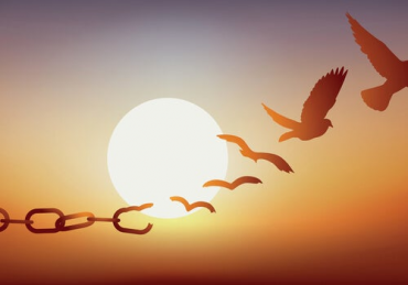 envol-oiseaux-370x259.webp