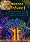 Lumina Botanica 3 – Mardi 02 juillet