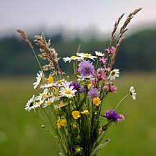 fleurs.jpg