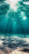 🌈Stage de régénération en eau chaude WE du 5 et 6 Octobre🐠