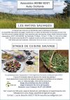 Matins sauvages et stages de cuisine sauvage à Alet les bains