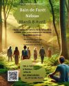 Bain de forêt à Nebias, le mardi 8 avril