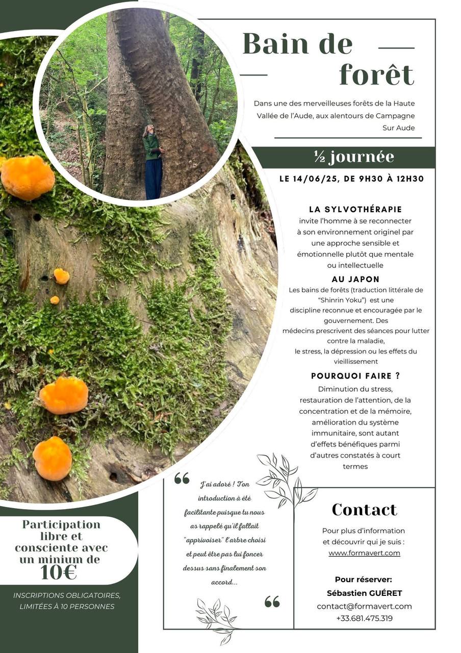 Image depuis Telegram 1