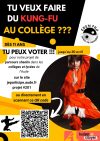 Tu veux faire tester le Kung Fu à tes enfants ??? Alors vote
