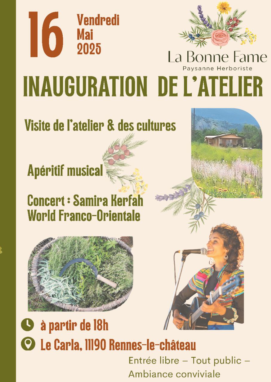 Image depuis Telegram 1