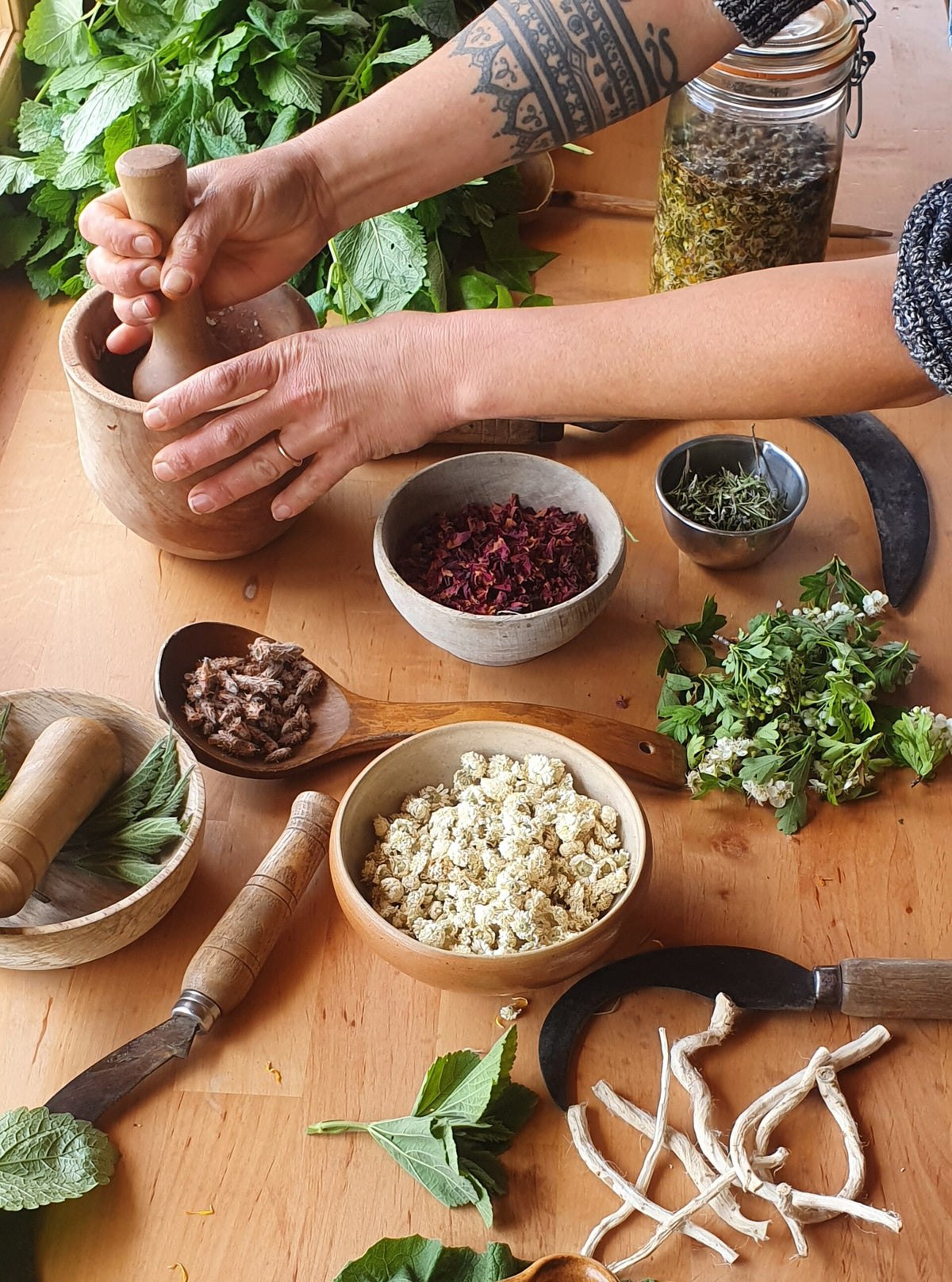 Image depuis Telegram 1