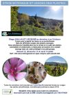 Stage botanique et usages des plantes à Alet les bains du 12 au 14 juillet