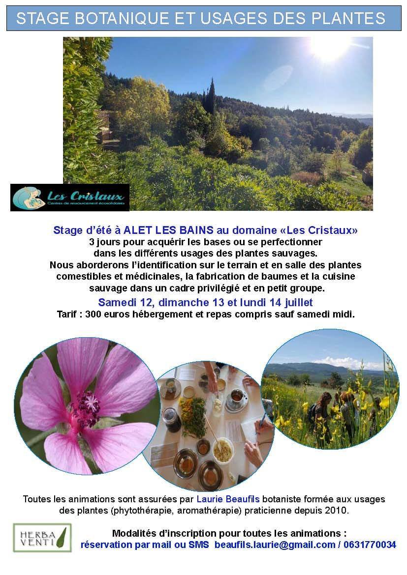 Image depuis Telegram 1