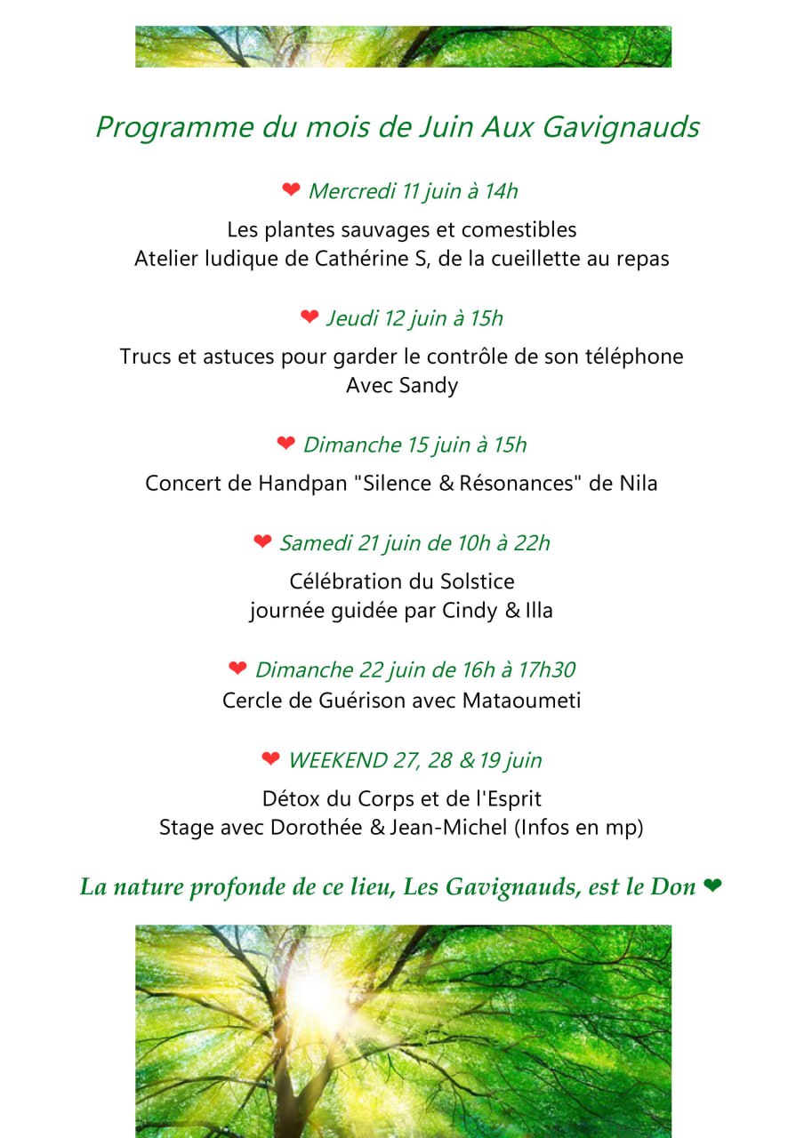 Image depuis Telegram 1