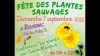 Fête des plantes sauvages le 7 septembre à Rouvenac
