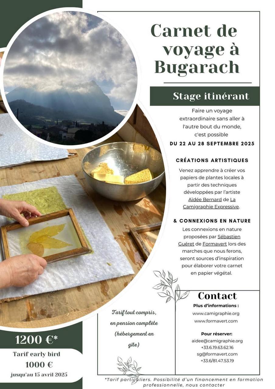 Image depuis Telegram 1