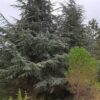 Aidez à lutter contre un projet destructeur dans la Haute Vallée de l&rsquo;Aude