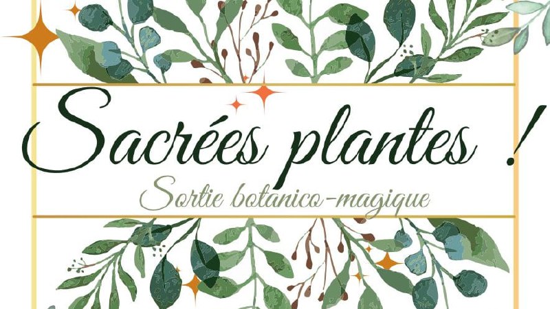 Image depuis Telegram 1