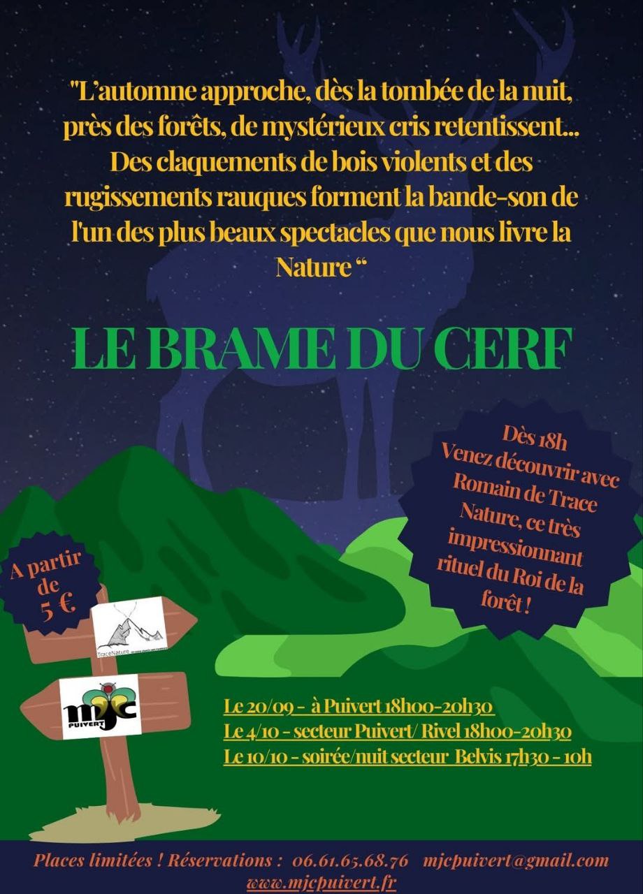 Image depuis Telegram 1