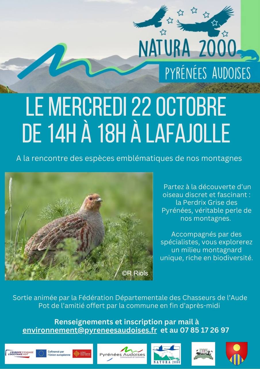 Image depuis Telegram 1