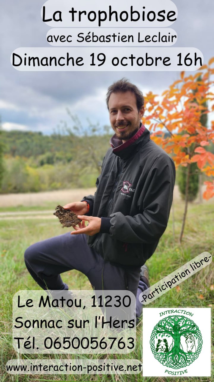 Image depuis Telegram 1