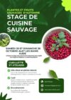 Stage de cuisine sauvage le 25 & 26 octobre à Alet les bains