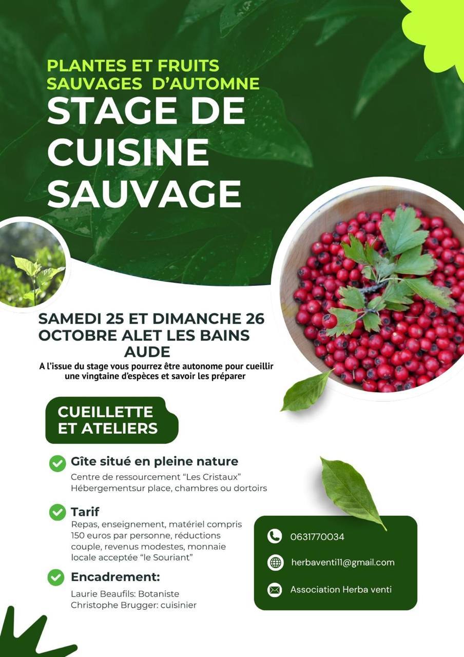 Image depuis Telegram 1