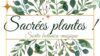 Sortie botanique à Espéraza le dimanche 26 octobre