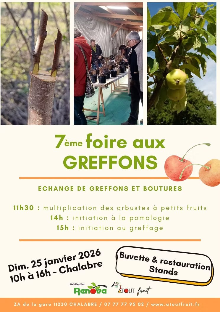 Image depuis Telegram 1