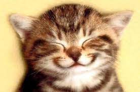 chat sourire.jpg