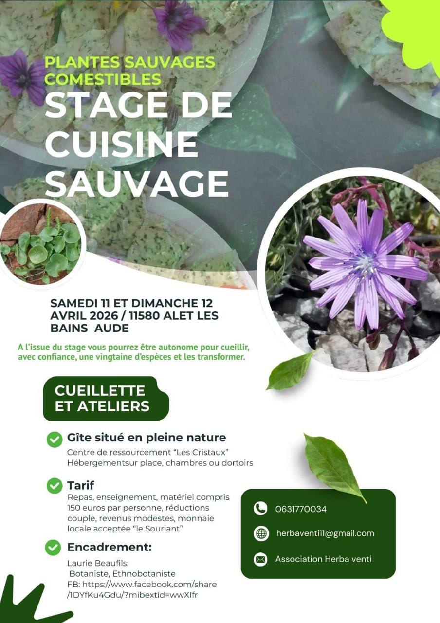 Image depuis Telegram 1