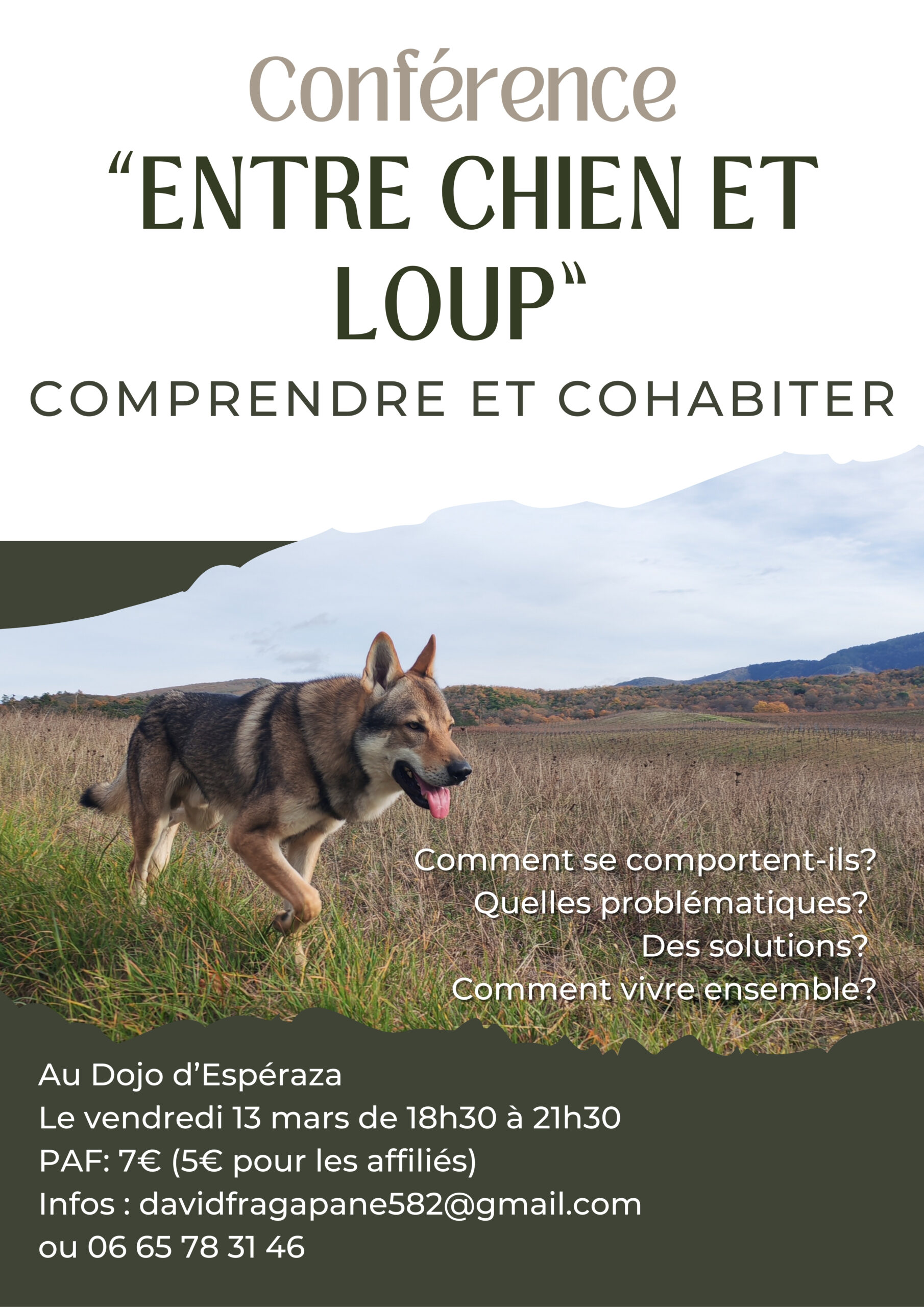 13 MARSdojoesperaza_Conférence Entre chien et loup web  DAVID FRAPA.jpg