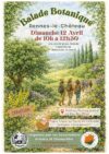 Balade botanique à Rennes les Château le 12 avril