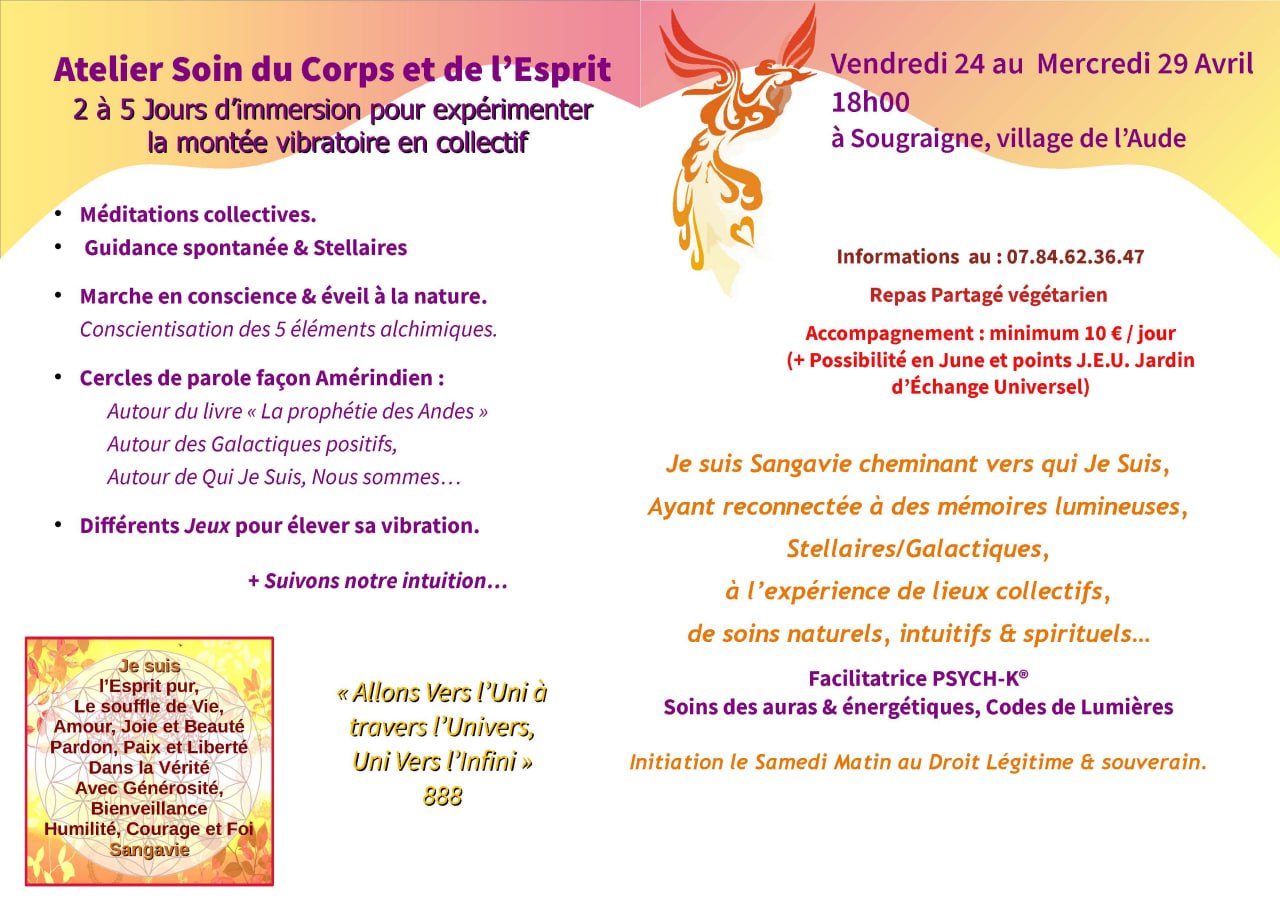 Image depuis Telegram 1