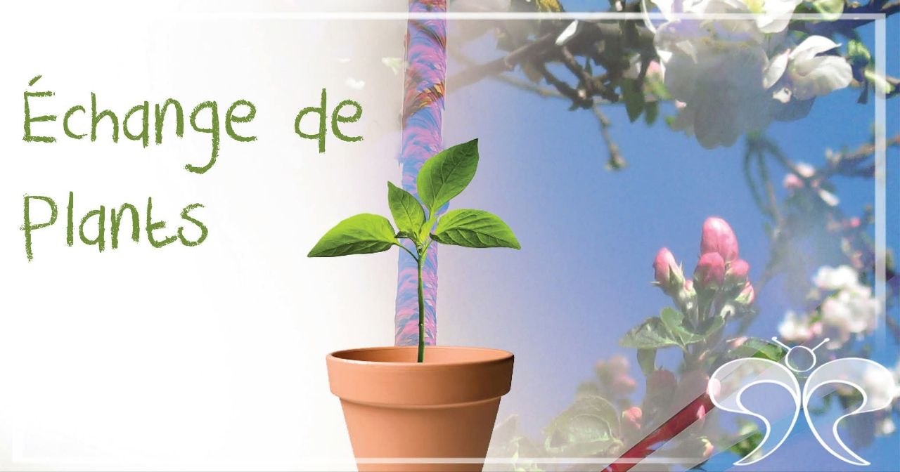 Image depuis Telegram 1
