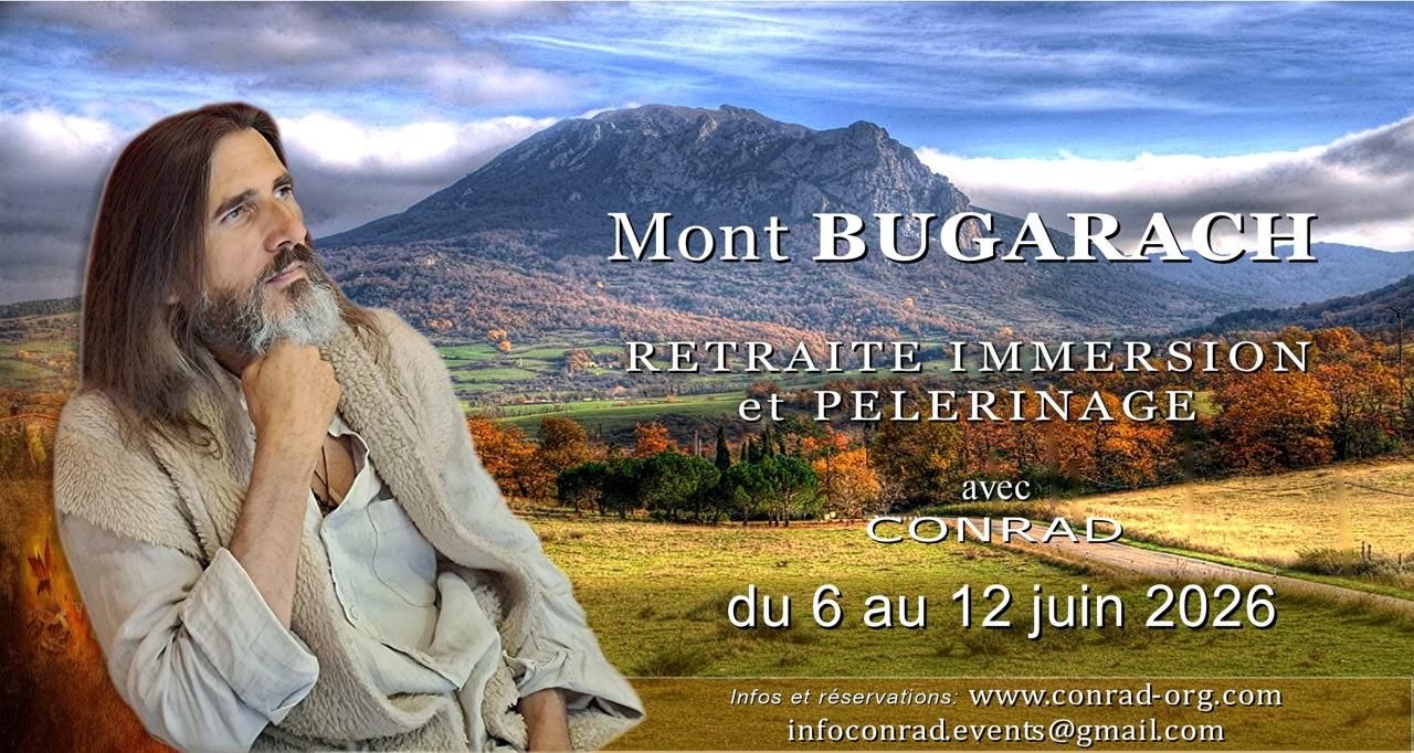 Image depuis Telegram 1