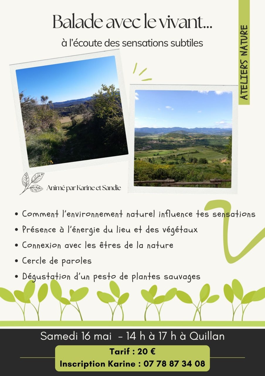 Image depuis Telegram 1