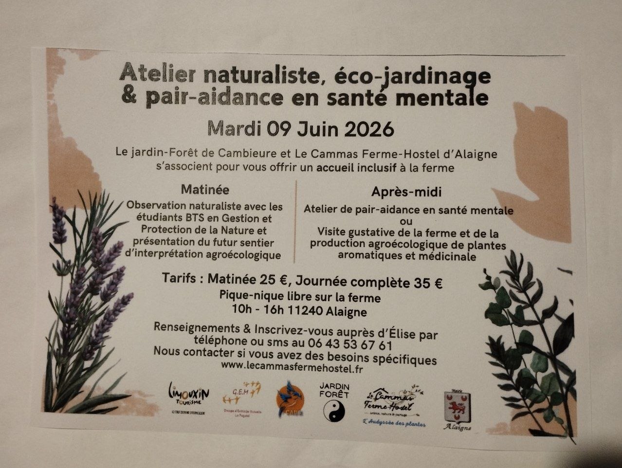 Image depuis Telegram 1