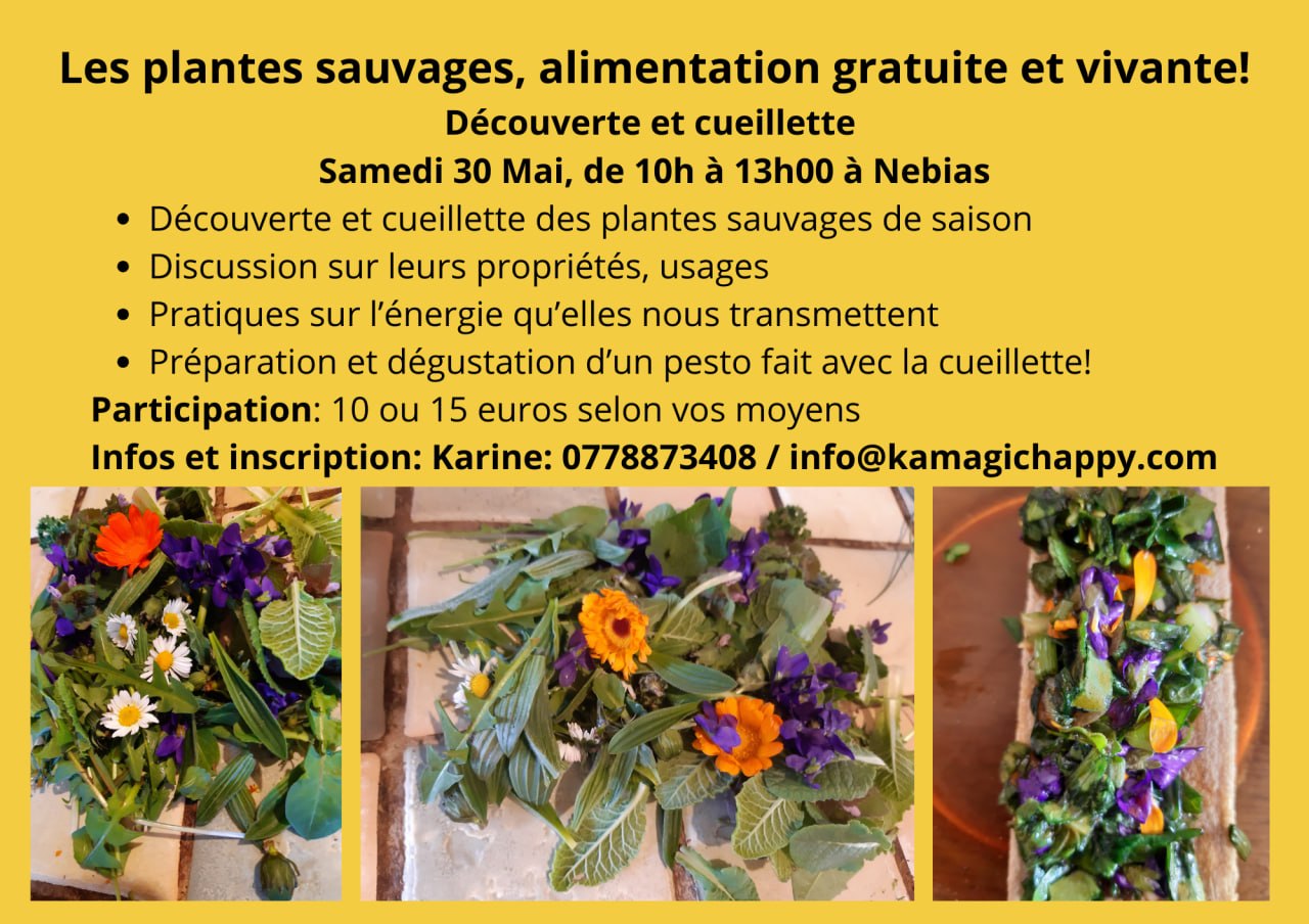 Image depuis Telegram 1