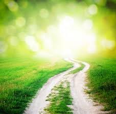 chemin 2.jpg