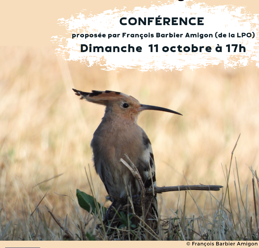 Conférence sur les oiseaux